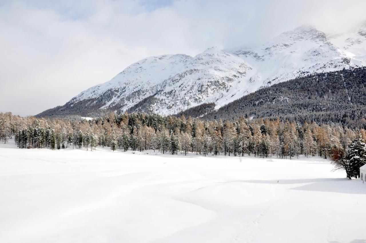 Cosy Apartment Facing Piz Rosatsch St. Moritz Luaran gambar