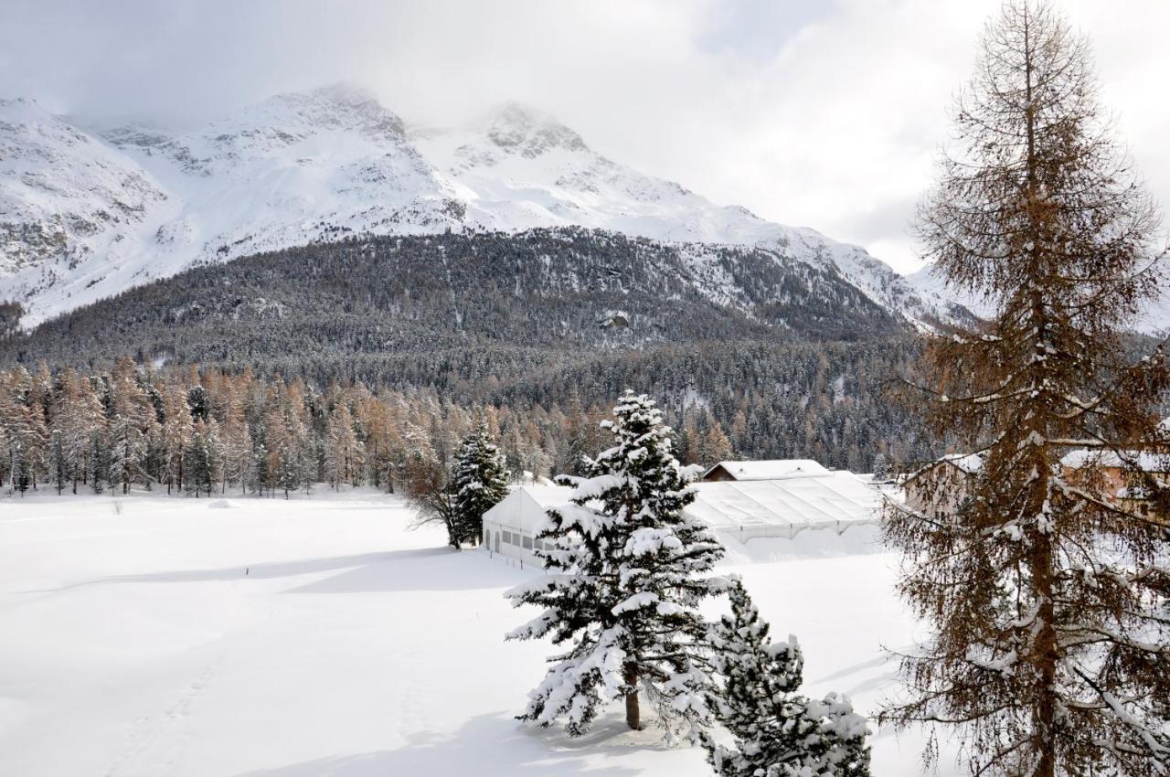 Cosy Apartment Facing Piz Rosatsch St. Moritz Luaran gambar